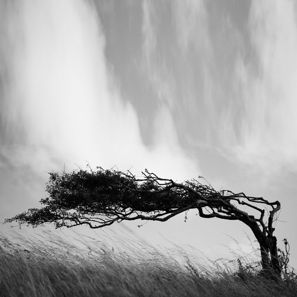 Resilience